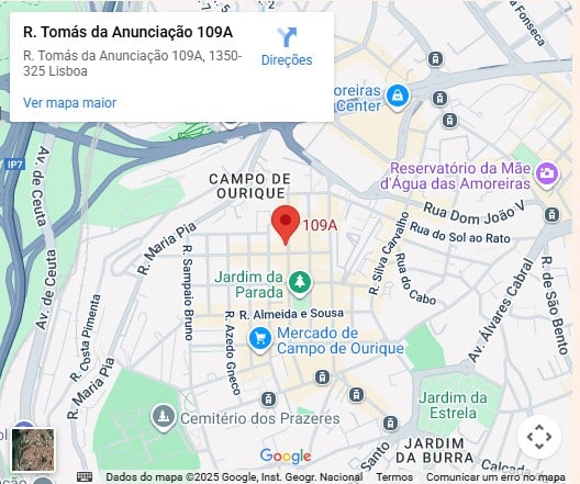 Google mapas